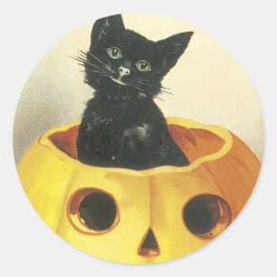 Gammalmodig glad Halloween katt Runt Klistermärke