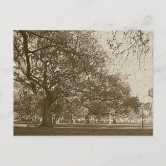 Gammalt batteri vykort