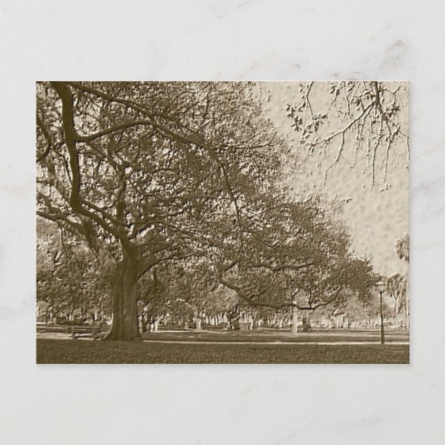 Gammalt batteri vykort (Framsida)