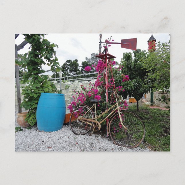 Gammalt bike-vykort vykort (Framsida)