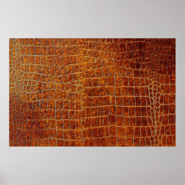 Gammalt brunt djurläder struktur poster (Framsidan)