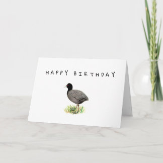 Gammalt Coot Birthday-kort Kort