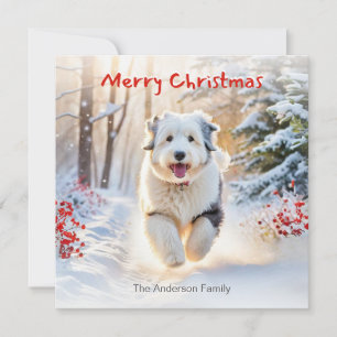 Gammalt engelskt fårhund hund i snö God Jul Julkort