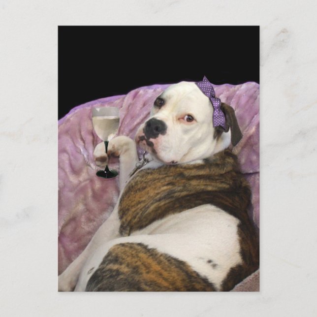 gammalt engelskt vykort för bulldogge (Framsida)