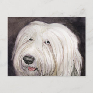 Gammalt engelskt vykort för Sheepdog Art