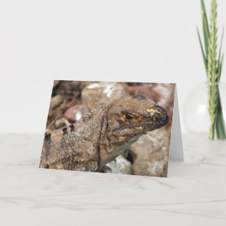 Gammalt födelsedagskort i Lizard Kort