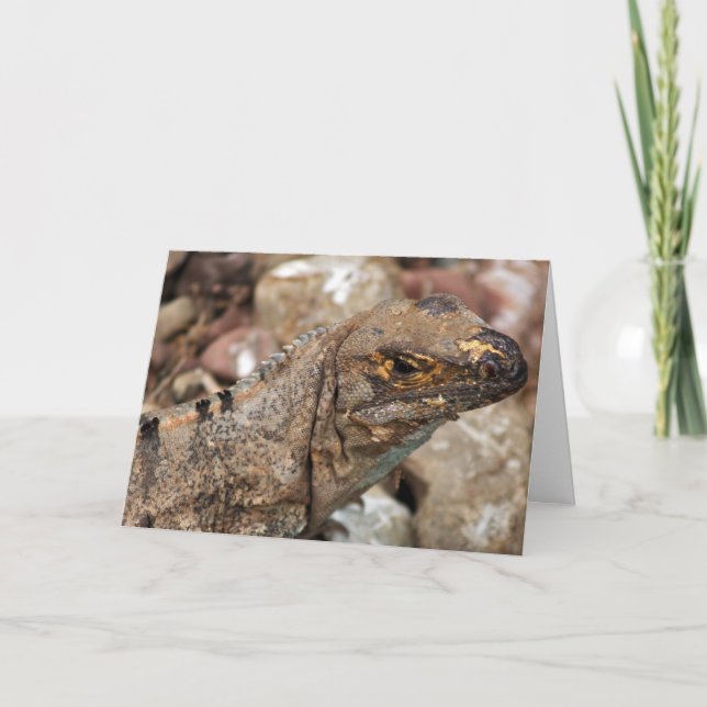 Gammalt födelsedagskort i Lizard Kort (Framsida)