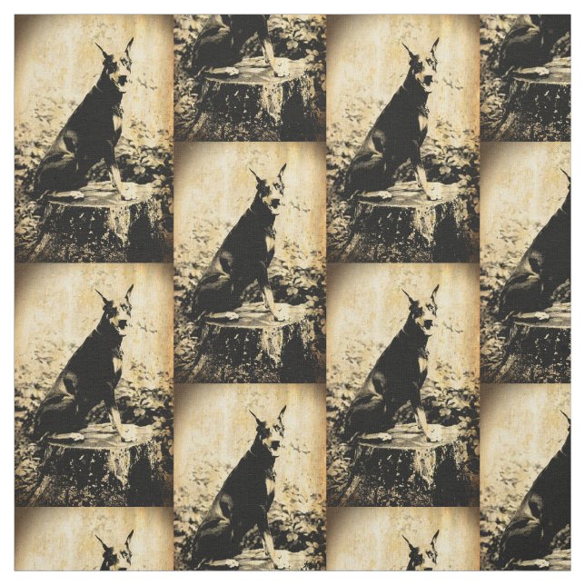 Gammalt foto för DobermanPinschervintage Tyg (Provkarta)