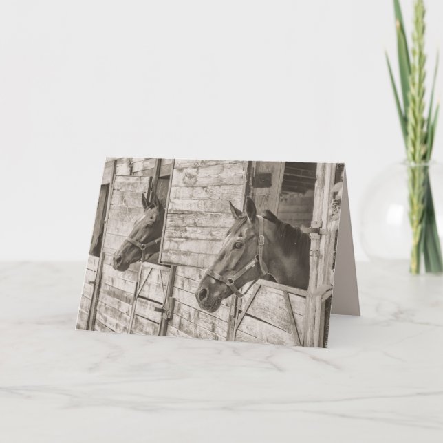 Gammalt hälsningskort för hästar helgkort (Framsida)