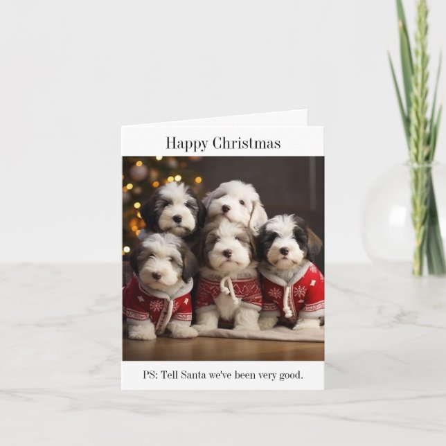 Gammalt jullkort för Sheepdog-valpar Kort (Framsida)