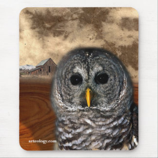 GAMMALT KLOKT MUSMATTA