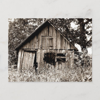Gammalt lantgårdskjul vykort