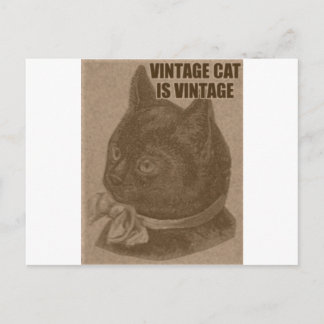 Gammalt LOLcat Vykort