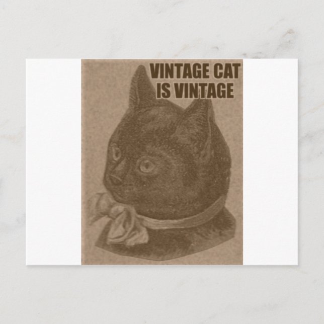 Gammalt LOLcat Vykort (Framsida)