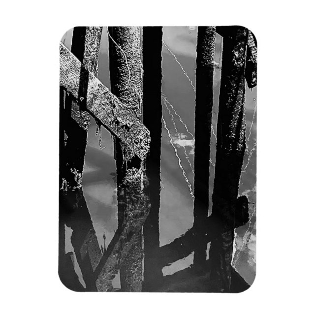 Gammalt pirbrygga Barnacle Balkar Pålar Foto Magnet (Vertikal)
