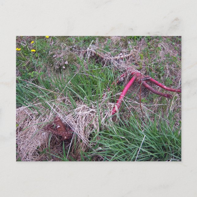 Gammalt rött bike-vykort vykort (Framsida)