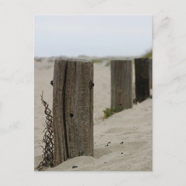 Gammalt staket Poles Vykort (Framsida)