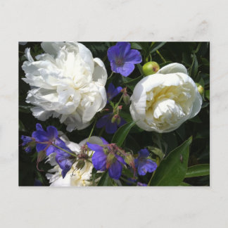 Gammalt styr den trädgårds- vykortet vykort