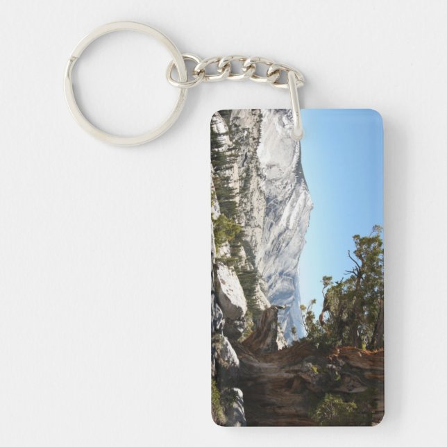Gammalt träd på den Yosemite nationalparken (Framsidan)