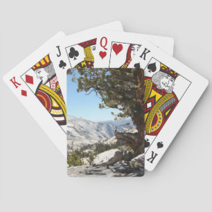 Gammalt träd på den Yosemite nationalparken Kortlek
