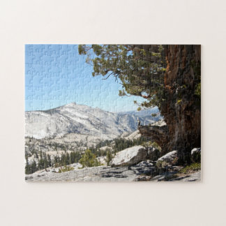 Gammalt träd på den Yosemite nationalparken Pussel
