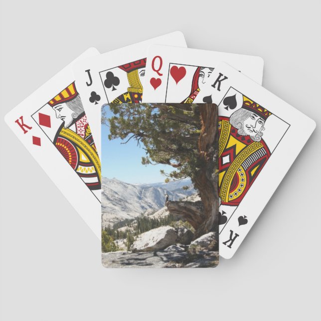 Gammalt träd på den Yosemite nationalparken Spelkort (Baksidan)