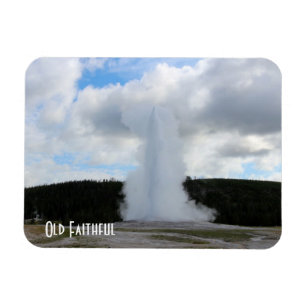 Gammalt troget foto på Yellowstone Magnet