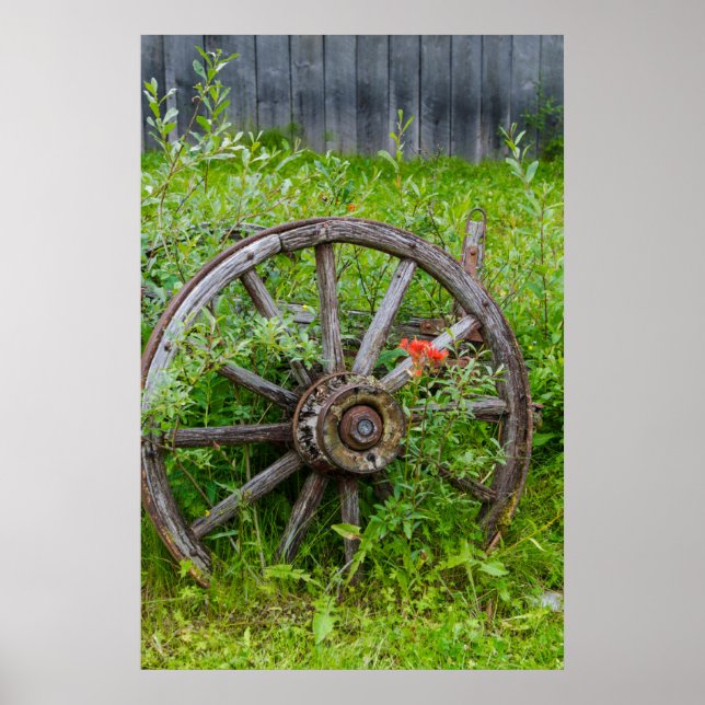 Gammalt vagnshjul i historiska gamla guldstaden 3 poster (Framsidan)