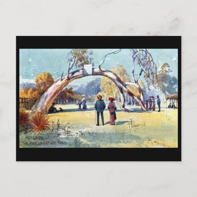 Gammalt vykort - Adelaide, södra Australien (Framsida)