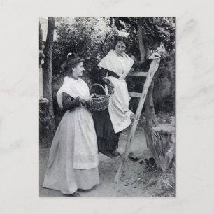 Gammalt vykort - Arles, Les Arlésiennes