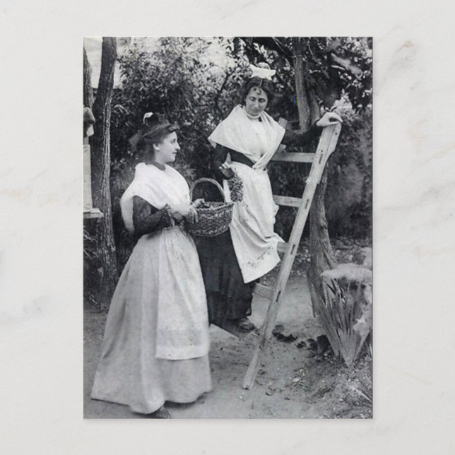 Gammalt vykort - Arles, Les Arlésiennes (Framsida)