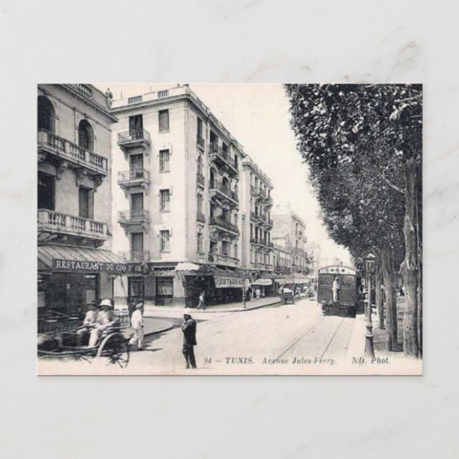 Gammalt vykort - Ave Jules-Ferry, Tunis (Framsida)