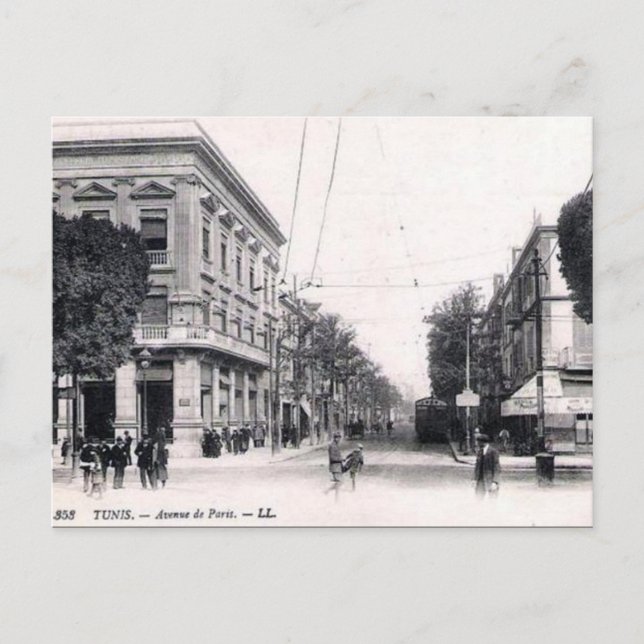Gammalt vykort - Avenue de Paris, Tunis (Framsida)
