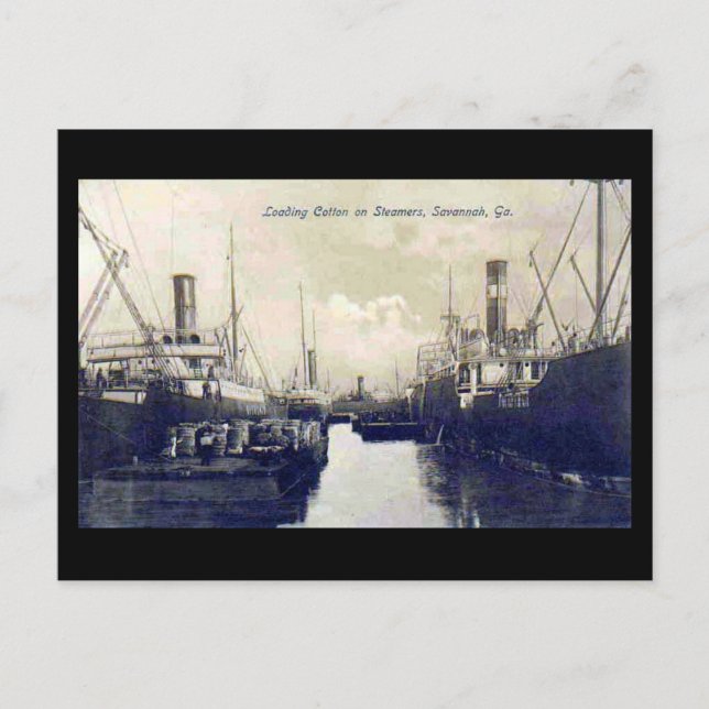 Gammalt vykort, bomull, Savannah, Georgien Vykort (Framsida)