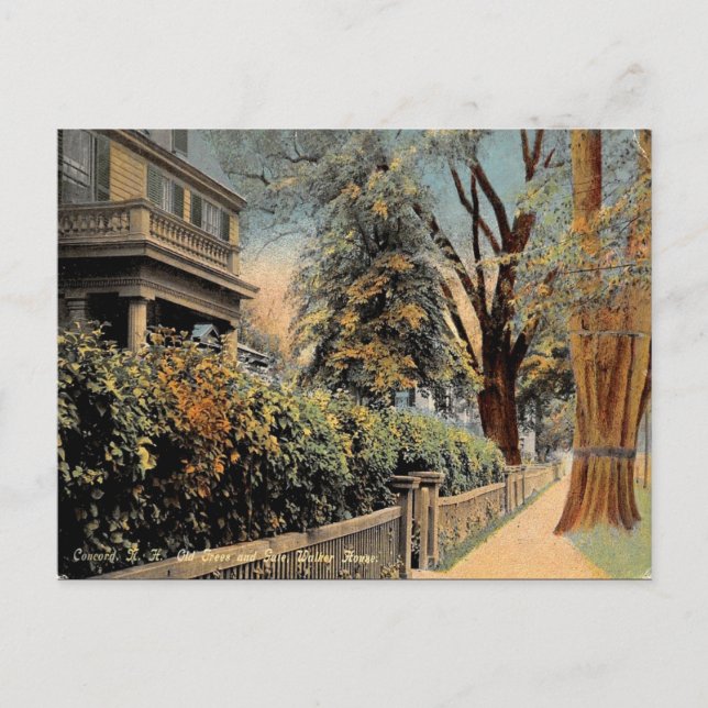 Gammalt vykort - Concord New Hampshire (Framsida)