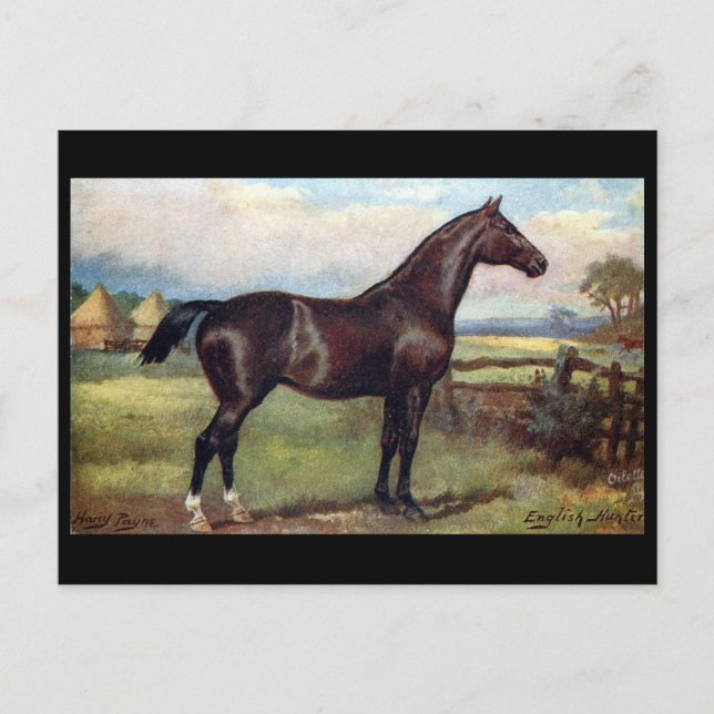 Gammalt vykort - engelsk jägare (Framsida)