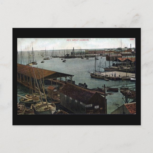 Gammalt vykort - Florida, Nyckel Väster Harbour (Framsida)