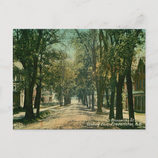 Gammalt vykort - Fredericton, New Brunswick (Framsida)