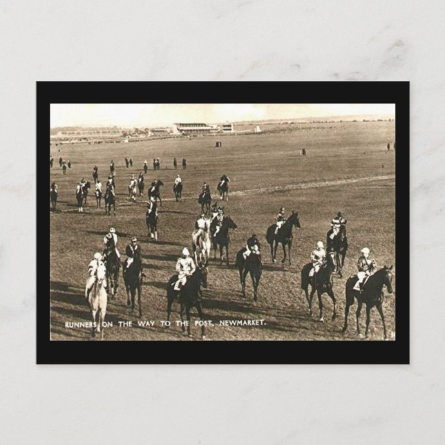 Gammalt vykort - Hästhästar på Newmarket (Framsida)