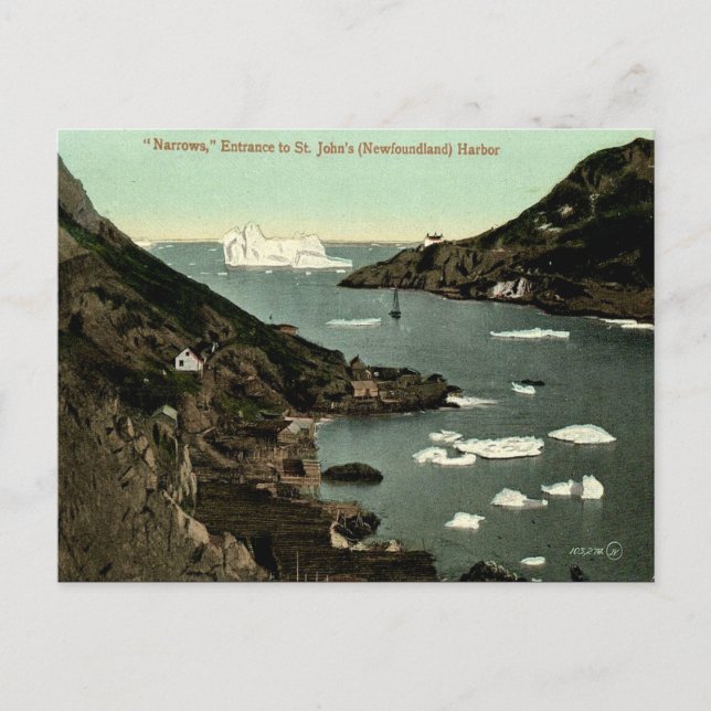 Gammalt vykort - Johannes, Newfoundland (Framsida)