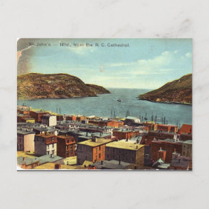 Gammalt vykort - Johannesört, Newfoundland