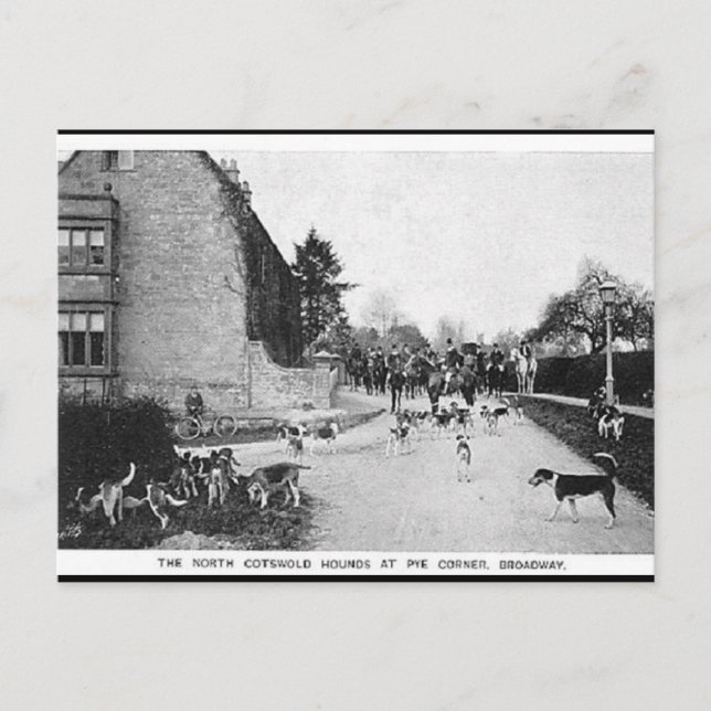 Gammalt vykort - N Cotswold Hounds, Broadway (Framsida)