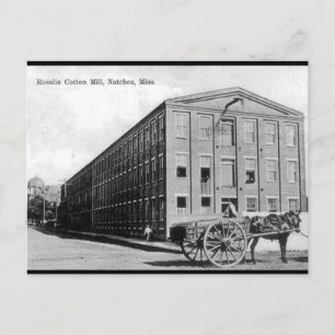 Gammalt vykort - Natchez, Mississippi