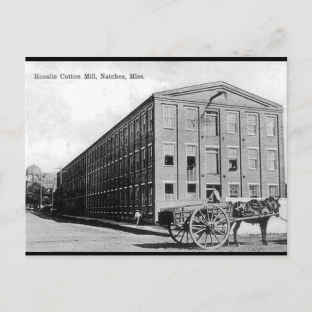 Gammalt vykort - Natchez, Mississippi (Framsida)