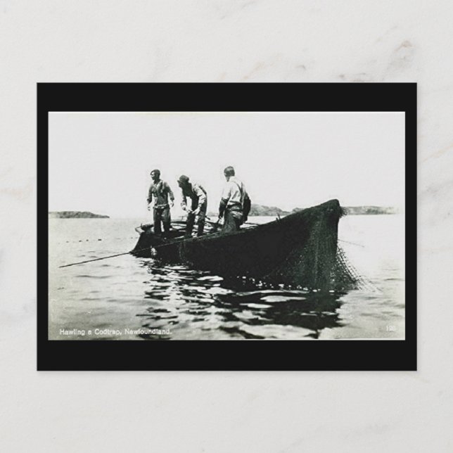 Gammalt vykort - Newfoundland, torskfiske (Framsida)