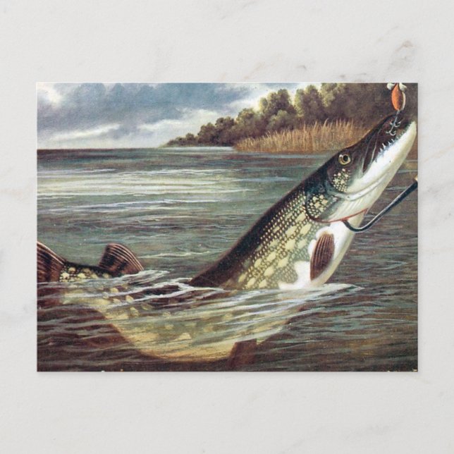 Gammalt vykort - Pike (Framsida)