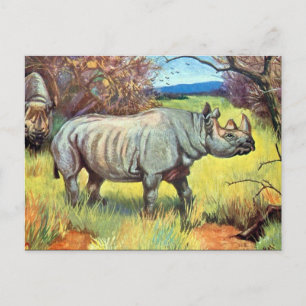 Gammalt vykort - Rhinoceros