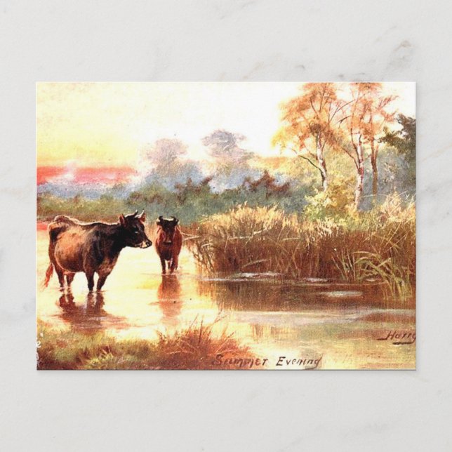 Gammalt vykort - Sommarkväll (Framsida)