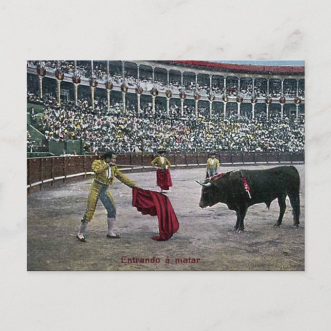 Gammalt vykort - tjurfäktning (Framsida)