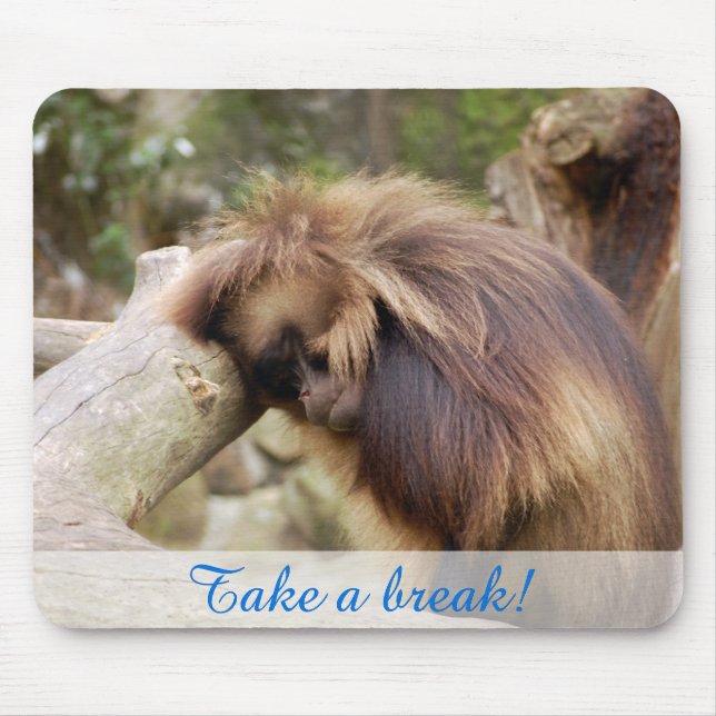 Gammelaffe EN Musmatta (Framsidan)